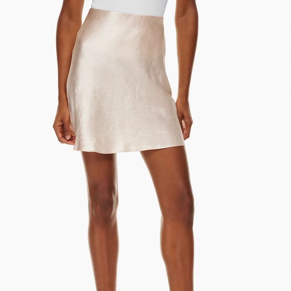 Babaton Slip mini skirt